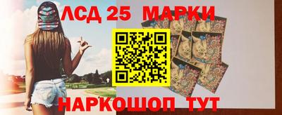 СК Абакан